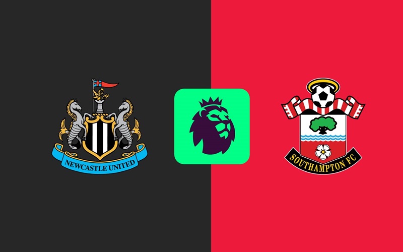 Soi kèo Newcastle vs Southampton chi tiết cùng các chuyên gia uy tín