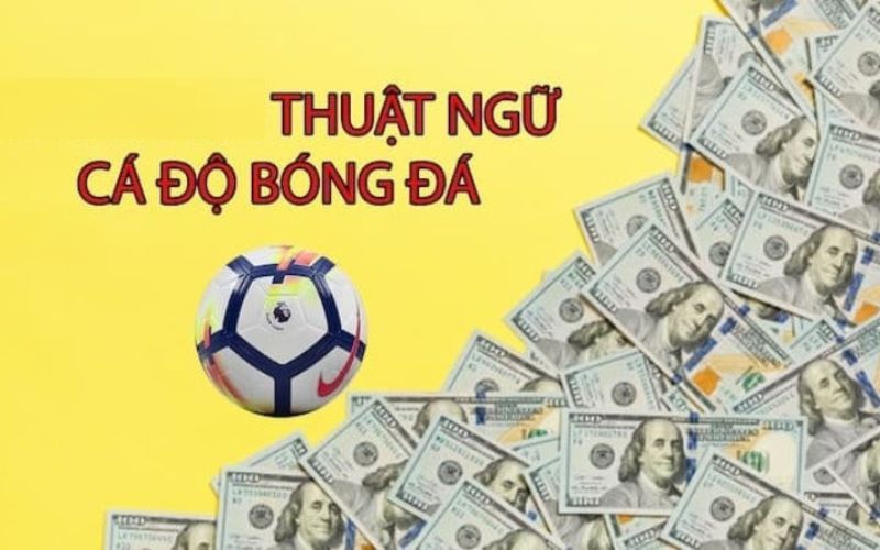 Liệt Kê Thuật Ngữ Trong Cá Độ Bóng Đá Online Mới Nhất 2024